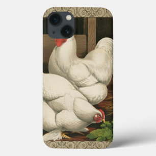 Case-Mate iPhone Case Roosters & Hen outside Hen House with White Border