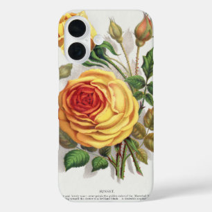 Coque Pour iPhone 16 Rose jaune et orange de coucher de soleil vintage,