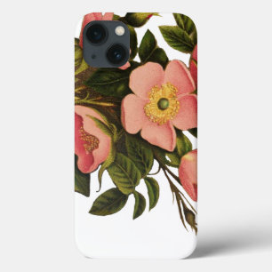 Etui iPhone 13 Roses Anciennes Jolies Roses Botaniques Roses
