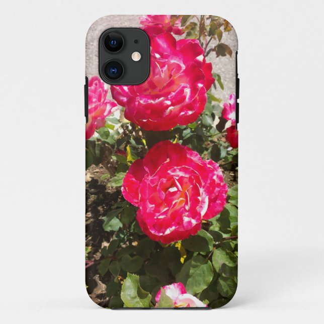 Coques Case-Mate iPhone Roses du jardin rouge (Dos)