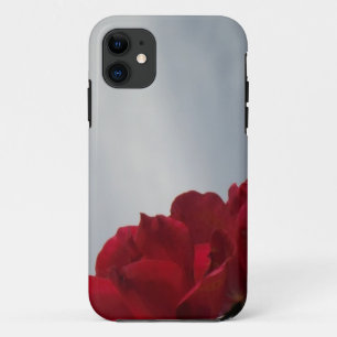 Coque iPhone 11 Roses rouges contre un ciel bleu vif
