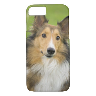 Case-Mate iPhone Case Rough Collie, chien