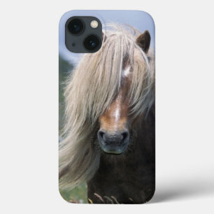 Coques Pour iPhone Royaume-Uni, Écosse, îles Shetland, poney Shetland