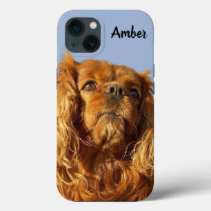 Case-Mate iPhone Case Ruby Cavalier King Charles Spaniel Chien Chien Chi