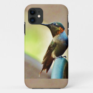 Coques Pour iPhone Ruby perché et petit colibri vert