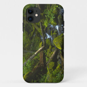 Coques Pour iPhone Ruisseau de la forêt pluviale tempérée dans la riv