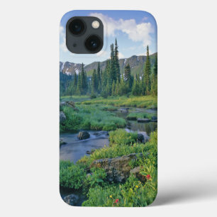 Etui iPhone 13 Ruisseau Picnic dans le Jewel Basin de Swan