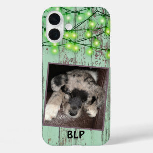 Coques iPhone 16 Plus Rustic Green Wood Custom Carré Photo Puppy