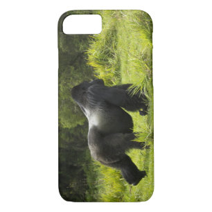 Coques Pour iPhone Rwanda, Parc national des volcans