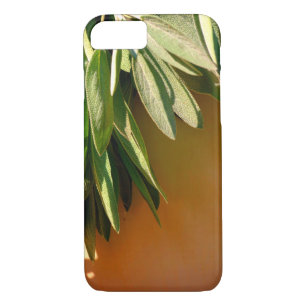 Coque iPhone 8/7 Sage frais coupé