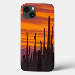 Case-Mate iPhone Case Saguaro, coucher de soleil, Parc national de Sagua