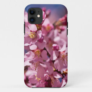Coque iPhone 11 Sakura Cherry Blossoms embrassés par Sunlight