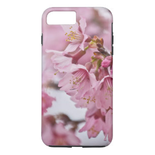 Coque iPhone 8 Plus/7 Plus Sakura Cherry Blossoms rose pâle