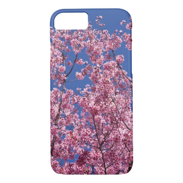 Coques Case-Mate iPhone Sakura Cherry Fleurit Dans Le Bleu (Dos)