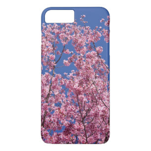 Coques Pour iPhone Sakura Cherry Fleurit Dans Le Bleu
