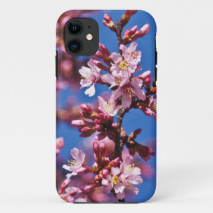 Coque iPhone 11 Sakura Japonaise Fleurs de cerisier Ciel Bleu