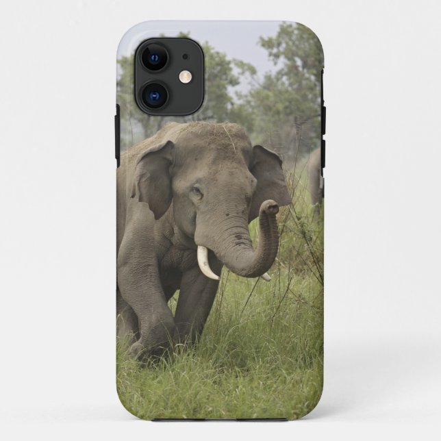 Coques Case-Mate iPhone Salutation des éléphants d'Asie indienne (Dos)