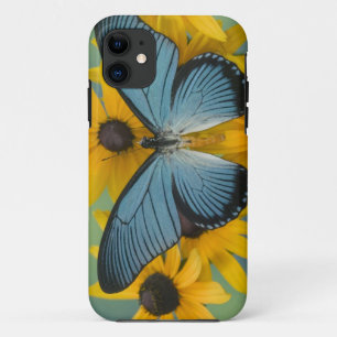 Coque iPhone 11 Sammamish Washington Photographie de Papillon