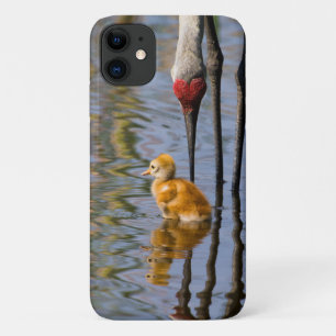 Case-Mate iPhone Case Sandhill crane mignonne bébé oiseau