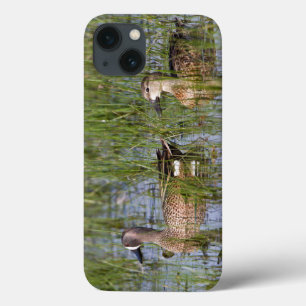 iPhone 13 Coque Sarcelle à ailes bleues mâle et femelle en zone hu