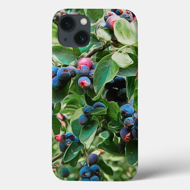 Coques Case-Mate iPhone Saskatoon (Verso)