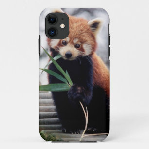 Etui iPhone Case-Mate Sauvez la caisse de l'iPhone 5/5S de panda rouge