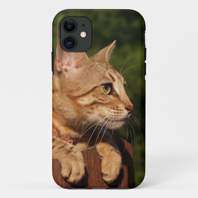 Coques Case-Mate iPhone Savannah Cat iPhone 5 (Dos)