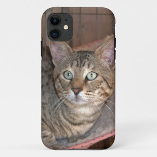 Coque Case-Mate Pour iPhone Savannah Cat iPhone 5
