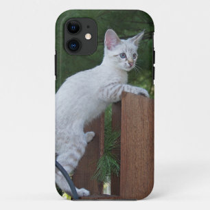 Coques Pour iPhone Savannah Cat iPhone 5 Coque-Mate à peine là