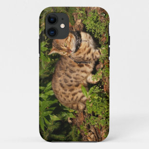 Coque Case-Mate Pour iPhone Savannah Cat iPhone 5 Coque-Mate à peine là