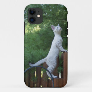 Coques Pour iPhone Savannah Cat iPhone 5 Custom Coque-Mate ID