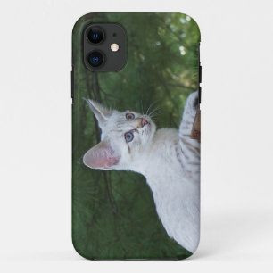 Coques Pour iPhone Savannah Cat iPhone 5 Custom Coque-Mate ID