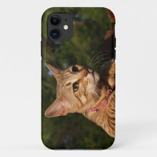 Etui iPhone Case-Mate Savannah Cat iPhone 5 Custom Coque-Mate ID