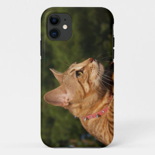 Coque Case-Mate Pour iPhone Savannah Cat iPhone 5 Custom Coque-Mate ID