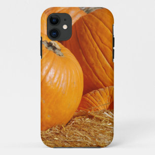 Case-Mate iPhone Case Scène d'automne citrouille