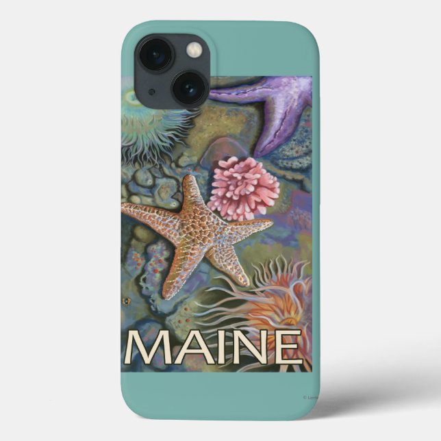 Coques Case-Mate iPhone Scène de MaineTidepool (Verso)