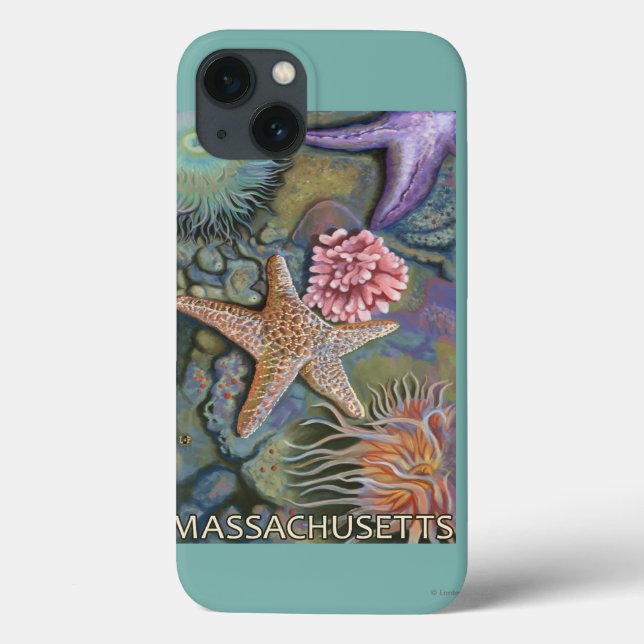 Coques Case-Mate iPhone Scène de MassachusettsTidepool (Verso)