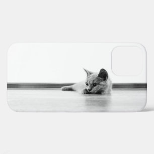 Etui iPhone Case-Mate Scottish Fold Kitten Chat Super mignonne