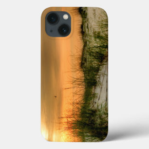 iPhone 13 Case Seagulls