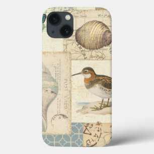 Coques Pour iPhone Seashell Collage