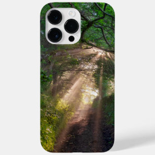 Coque Pour Pour iPhone 14 Pro Max sentier forestier