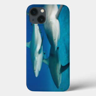 Coques Pour iPhone Shark Trio iPad Case