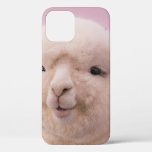 Case-Mate iPhone CASE SHEEP BLANC EN FERMETURE PHOTOGRAPHIE