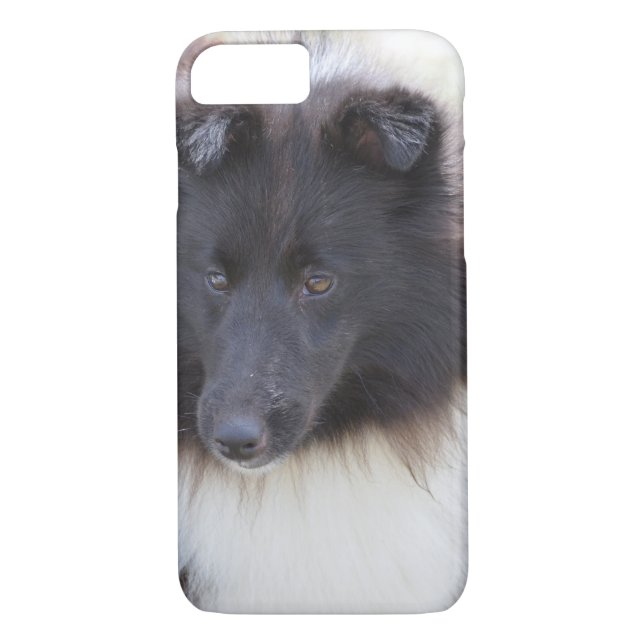 Coques Case-Mate iPhone Sheltie noir et blanc (Dos)