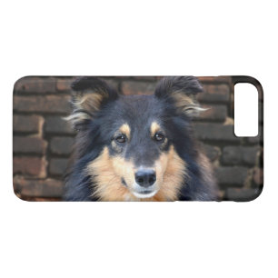Coque Case-Mate Pour iPhone Sheltie tricolore font face