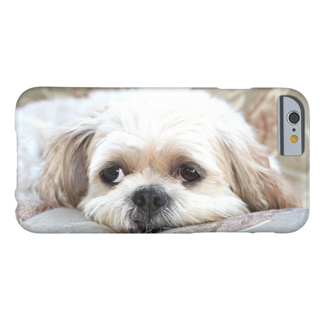 Coques Case-Mate iPhone Shih triste Tzu font face (Dos Horizontal)