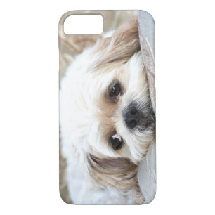 Case-Mate iPhone Case Shih triste Tzu font face