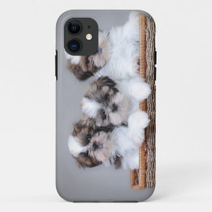 Coque iPhone 11 Shih Tzu puppies