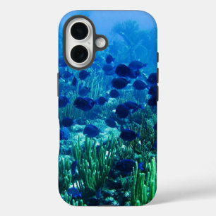 Coque Pour iPhone 16 Shoal of Blue Discus Fish Underwater Photo