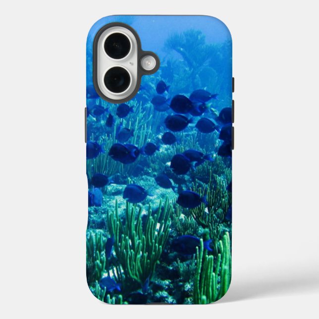 Coques Case-Mate iPhone Shoal of Blue Discus Fish Underwater Photo (Verso)